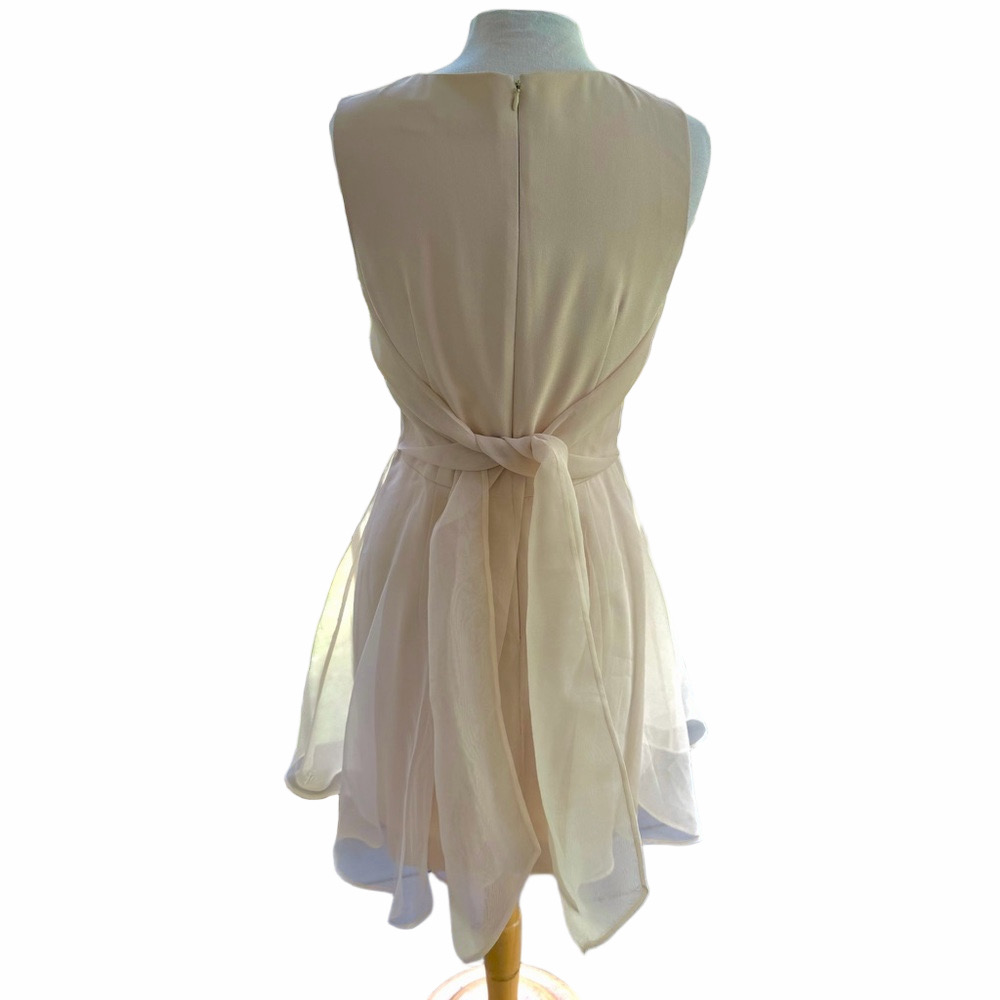 Ann Taylor Fit Flare Beige Size 10 Dress Sleeveless Formal Organza With Bow - Picture 4 of 11